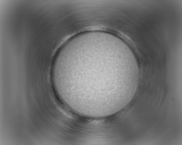 X0000056350155200509232114