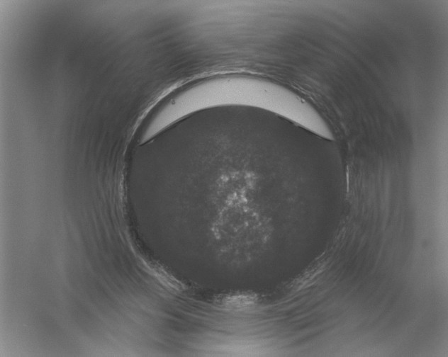 X0000056350156200509232114