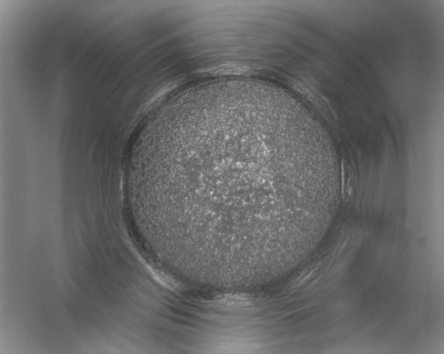 X0000056350157200509232114