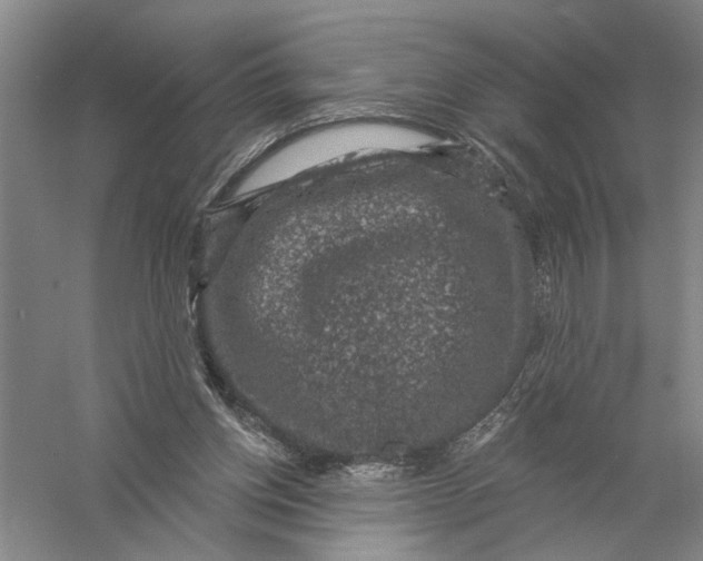 X0000056350158200509232114