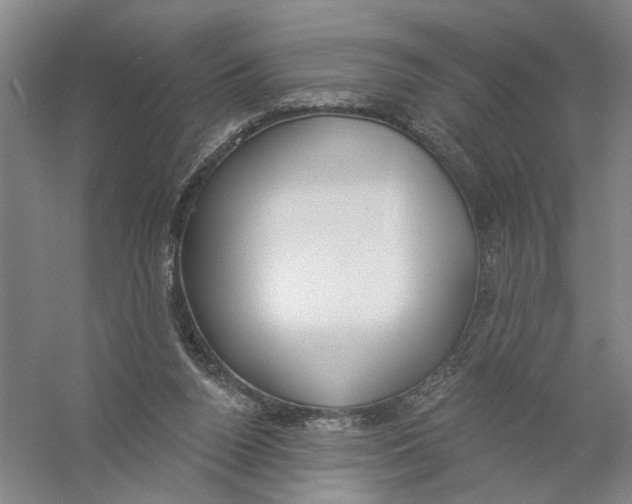 X0000056350160200509232114