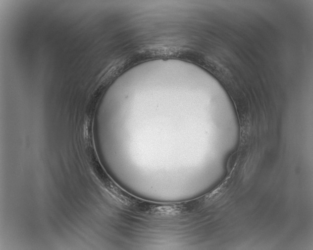 X0000056350166200509232114