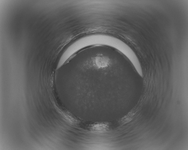 X0000056350168200509232115