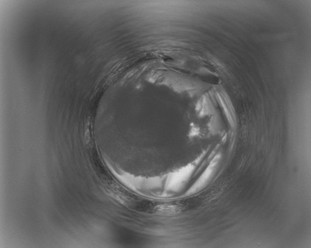 X0000056350169200509232115