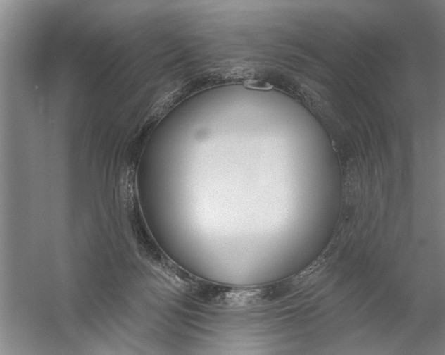 X0000056350172200509232115