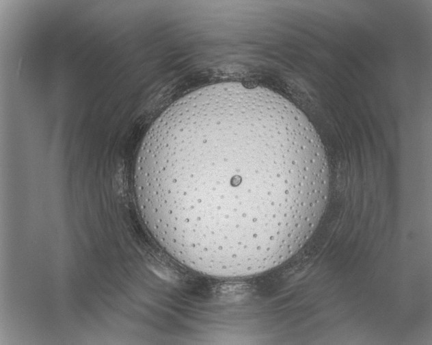 X0000056350173200509232115