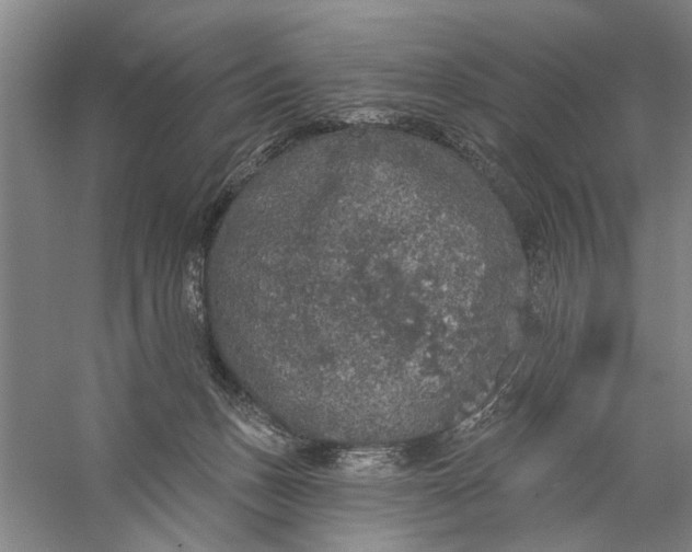 X0000056350175200509232115