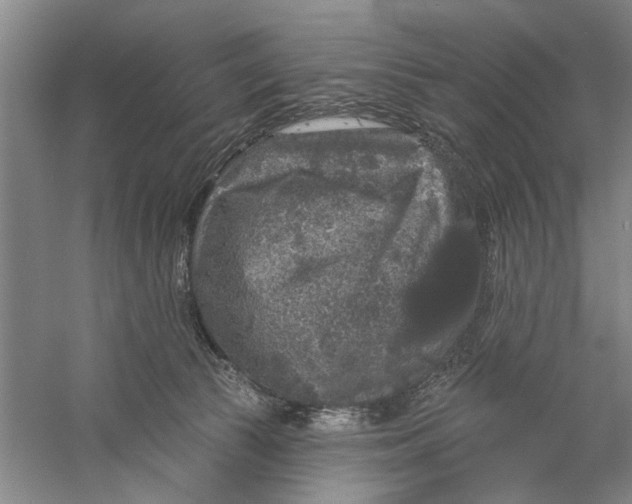 X0000056350177200509232115