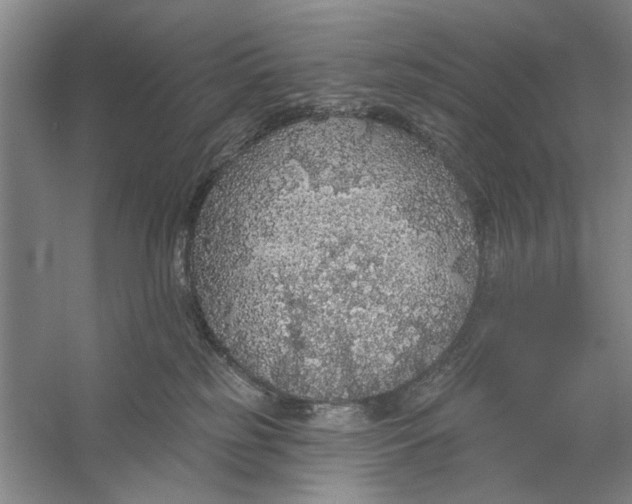 X0000056350185200509232115