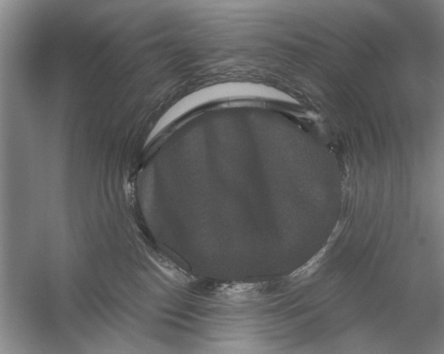 X0000056350186200509232115