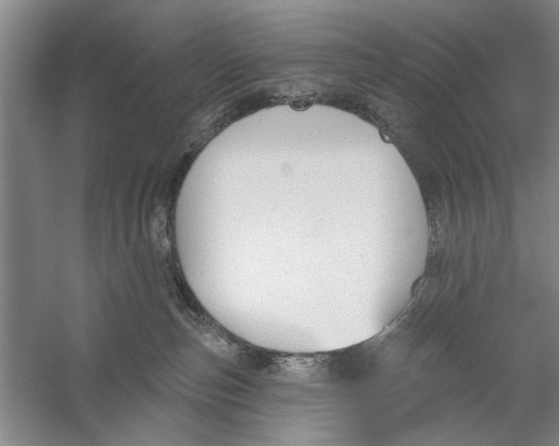 X0000056350187200509232115