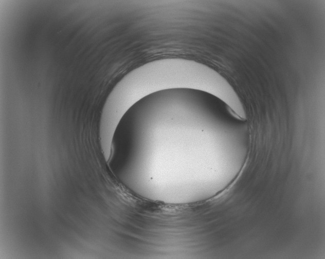 X0000056350190200509232115