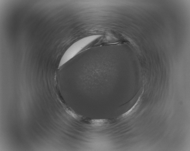 X0000056350192200509232115