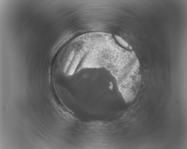 X0000056350194200509232114