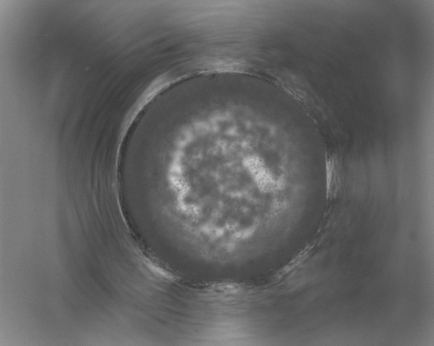 X0000056350195200509232114