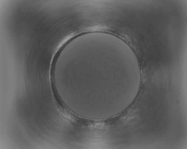 X0000056350196200509232114