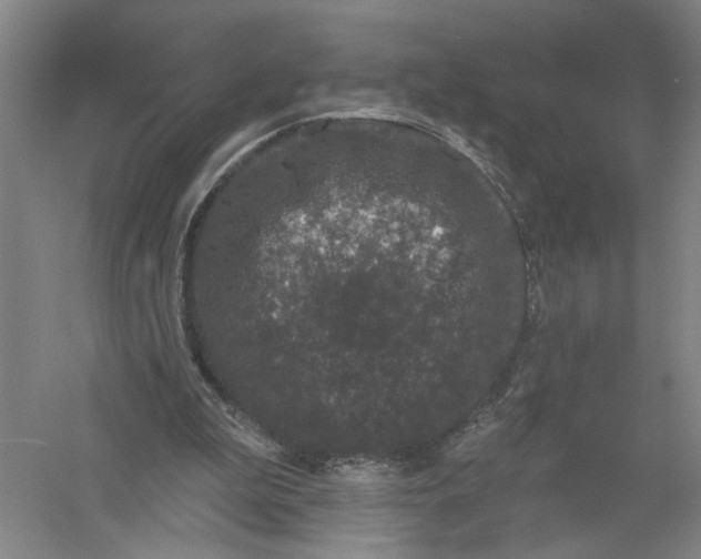 X0000056350199200509232114