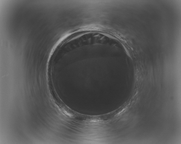 X0000056350200200509232114