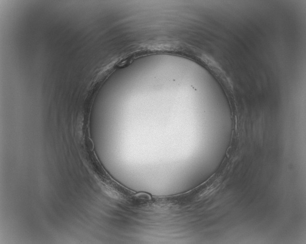 X0000056350201200509232114