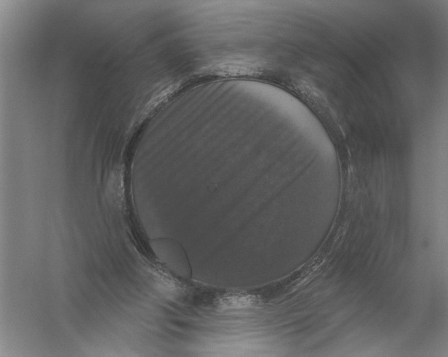 X0000056350202200509232114