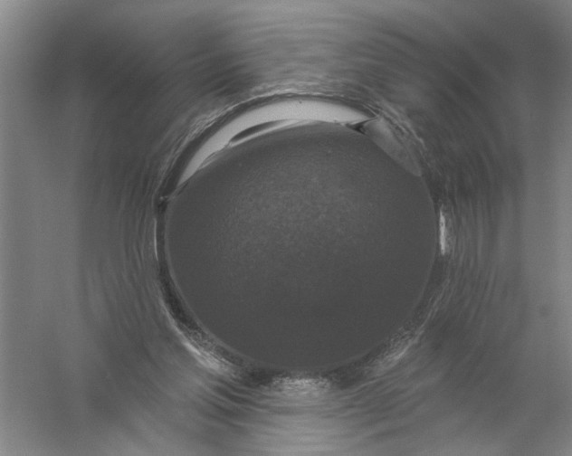 X0000056350205200509232114