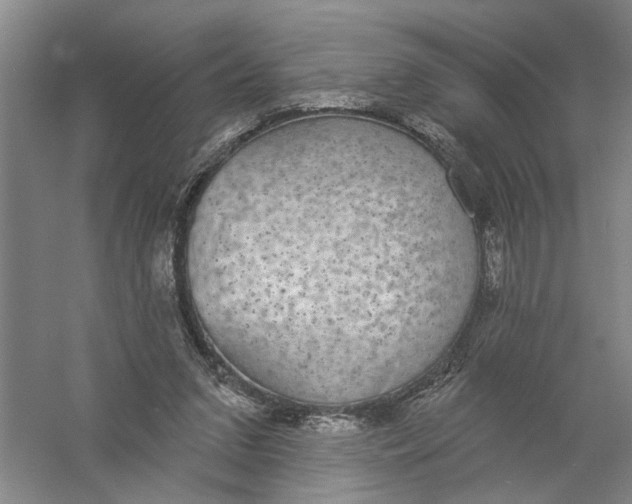 X0000056350207200509232114