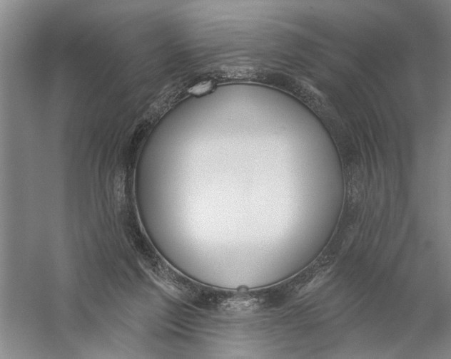 X0000056350213200509232114