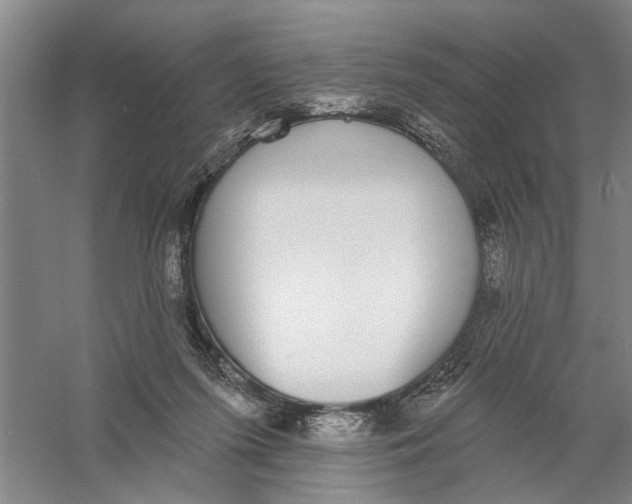 X0000056350215200509232114