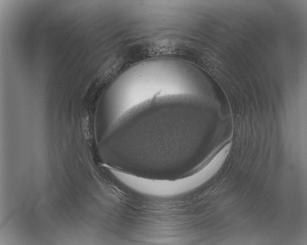 X0000056350224200509232114