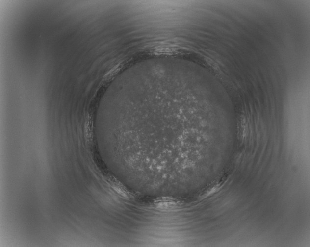 X0000056350228200509232113