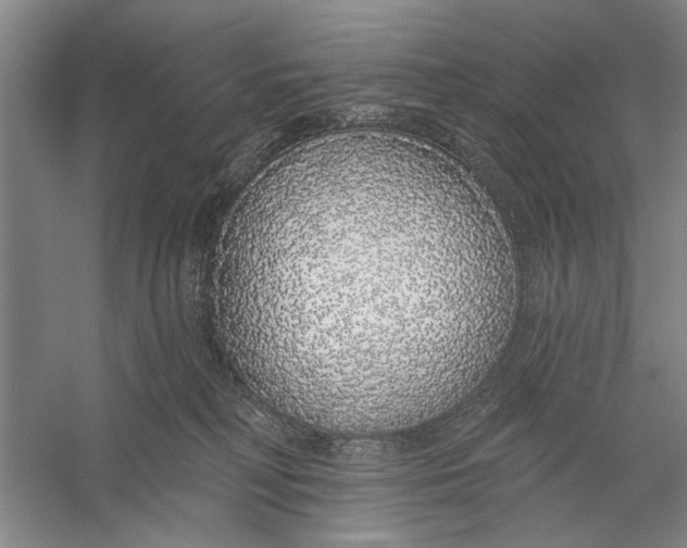 X0000056350230200509232113