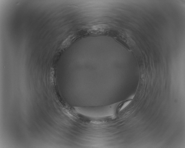 X0000056350231200509232113