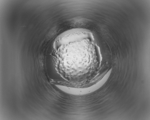 X0000056350232200509232113