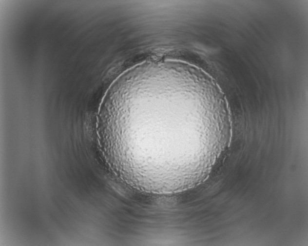 X0000056350234200509232113