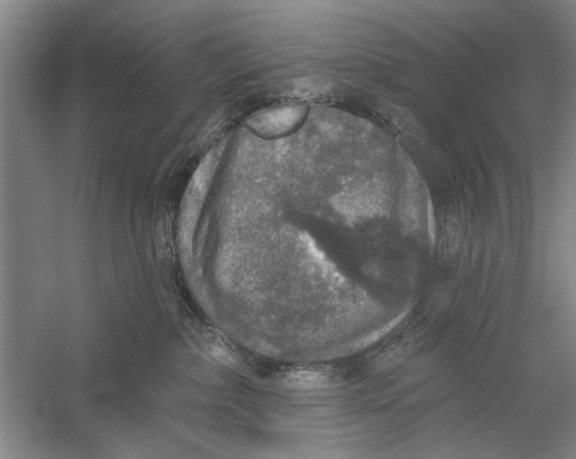 X0000056350236200509232113