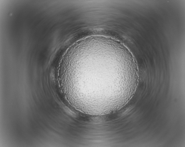 X0000056350238200509232113