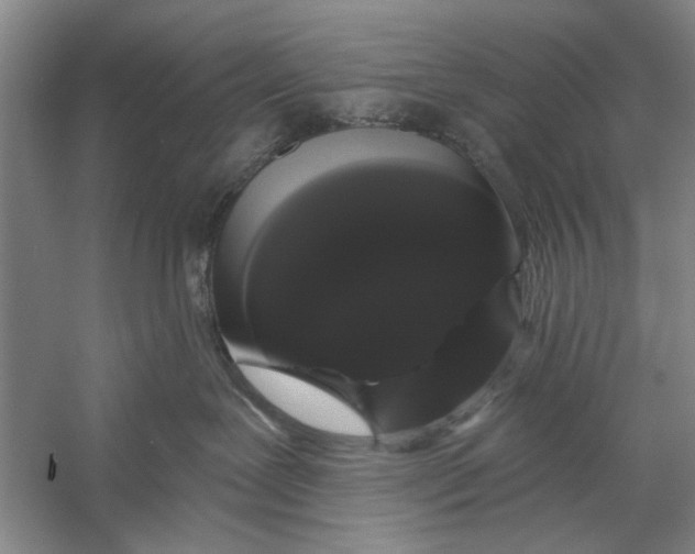 X0000056350239200509232113