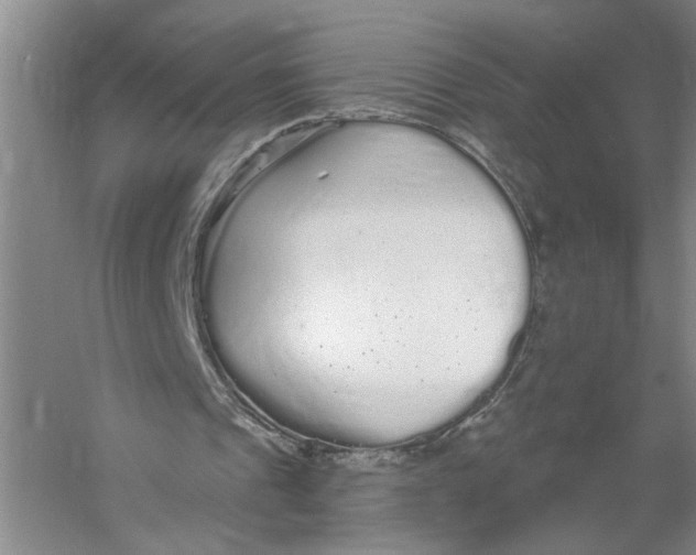 X0000056350241200509232112