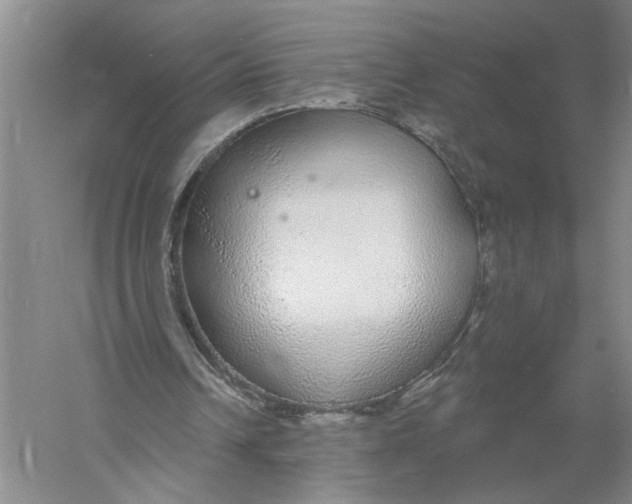 X0000056350242200509232112