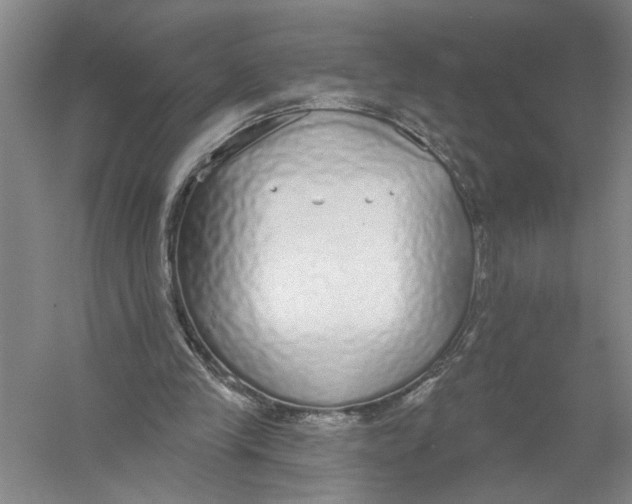 X0000056350245200509232113