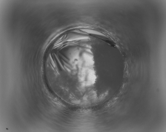 X0000056350247200509232113