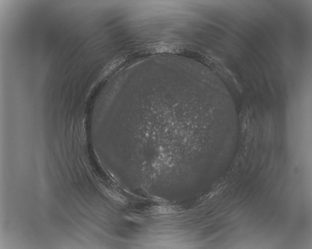 X0000056350250200509232113