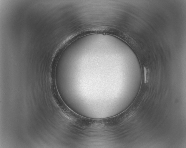 X0000056350252200509232113