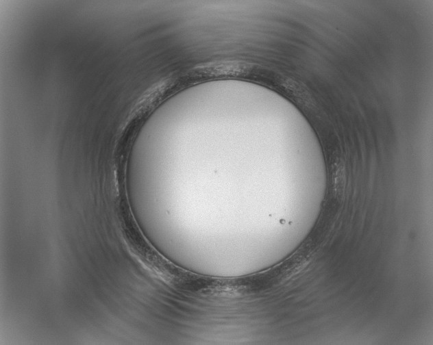 X0000056350254200509232113