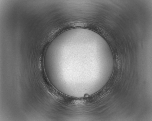 X0000056350255200509232113