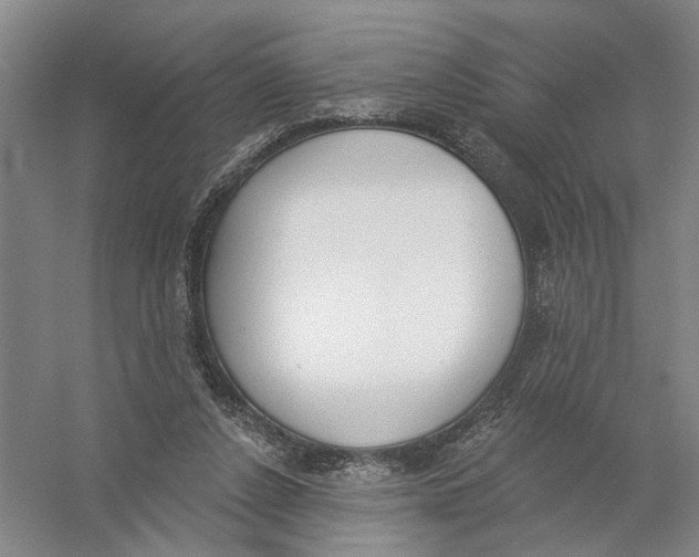 X0000056350256200509232113