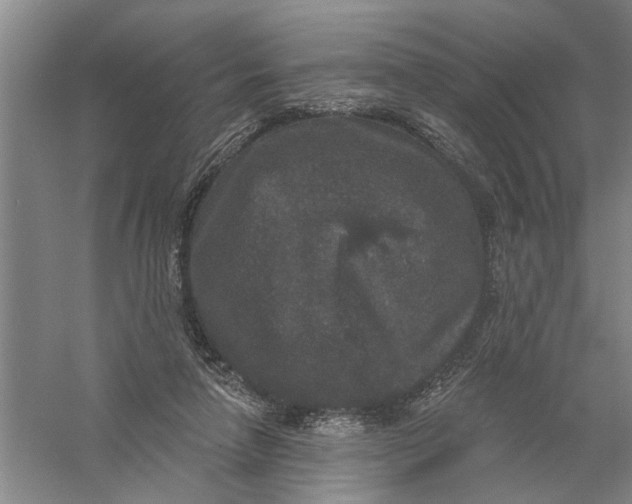 X0000056350258200509232113