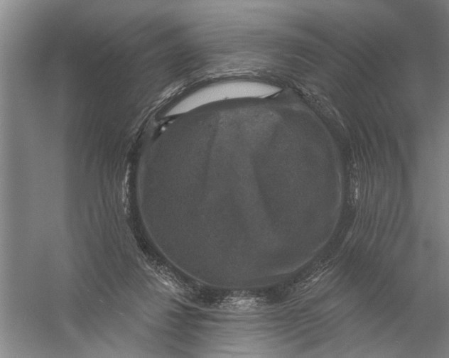 X0000056350260200509232113