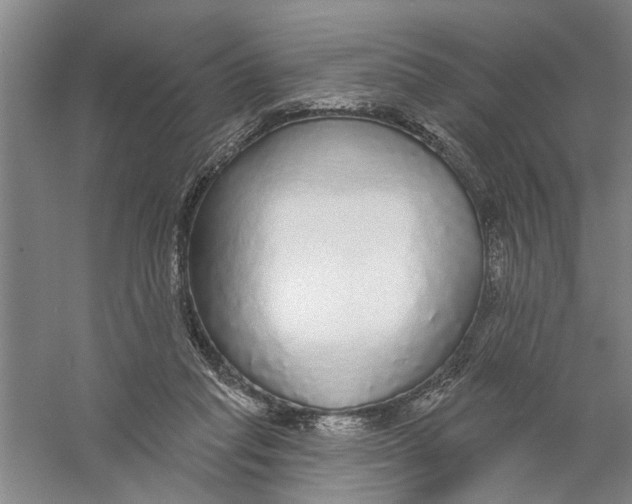 X0000056350261200509232113