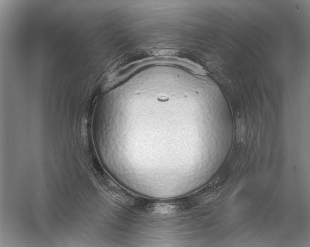 X0000056350263200509232113